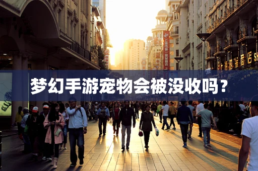 梦幻手游宠物会被没收吗？