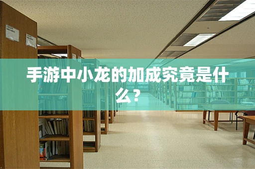 手游中小龙的加成究竟是什么？