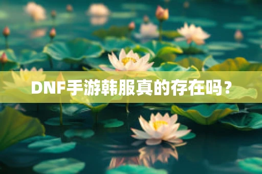 DNF手游韩服真的存在吗？