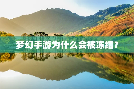 梦幻手游为什么会被冻结？