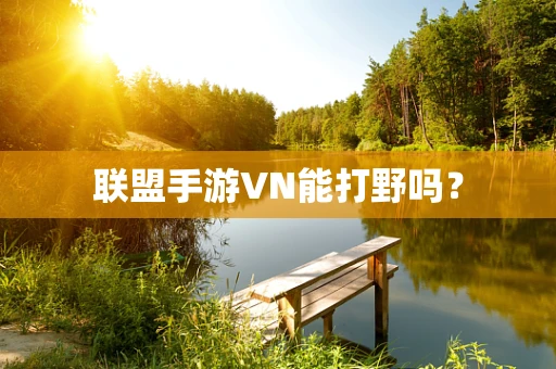 联盟手游VN能打野吗？